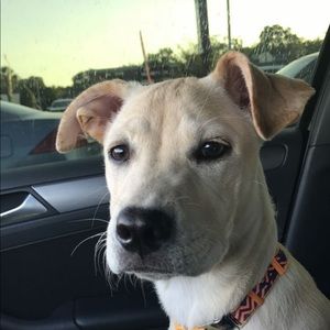 Meet your Posher, Paul